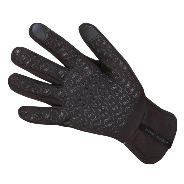 Polarstretch 2.0 Winter Glove